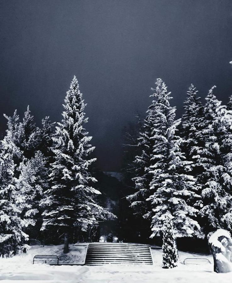 HASI hotel Jermuk Bagian luar foto